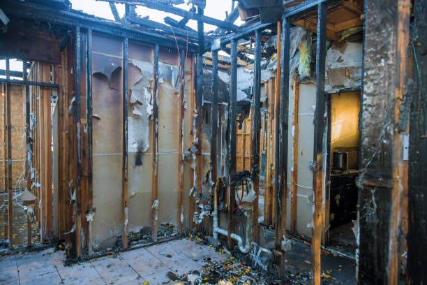 Professional Odor Removal technician working in Arlington, TX